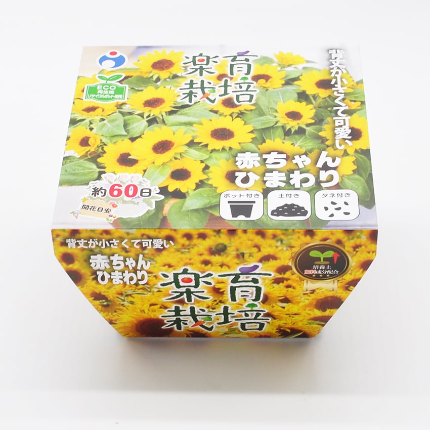 【ひまわりママさん専用】他の方は購入をお控え下さい。 ひまわりママさん専用】他の方は購入をお控え下さい。 ひまわり