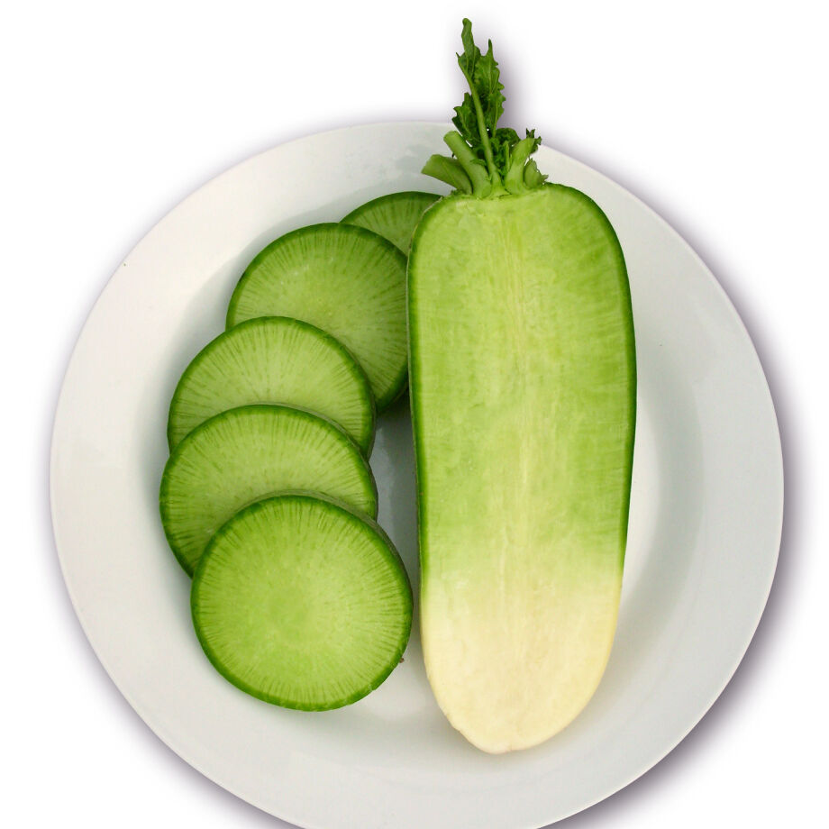 ビタミン大根 天津青長（だいこん） / 【60089】 | 花さんぽ｜種子を