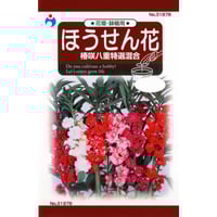 早生枝豆白鳥 / 【38282】 | 花さんぽ｜種子をはじめ園芸用品を