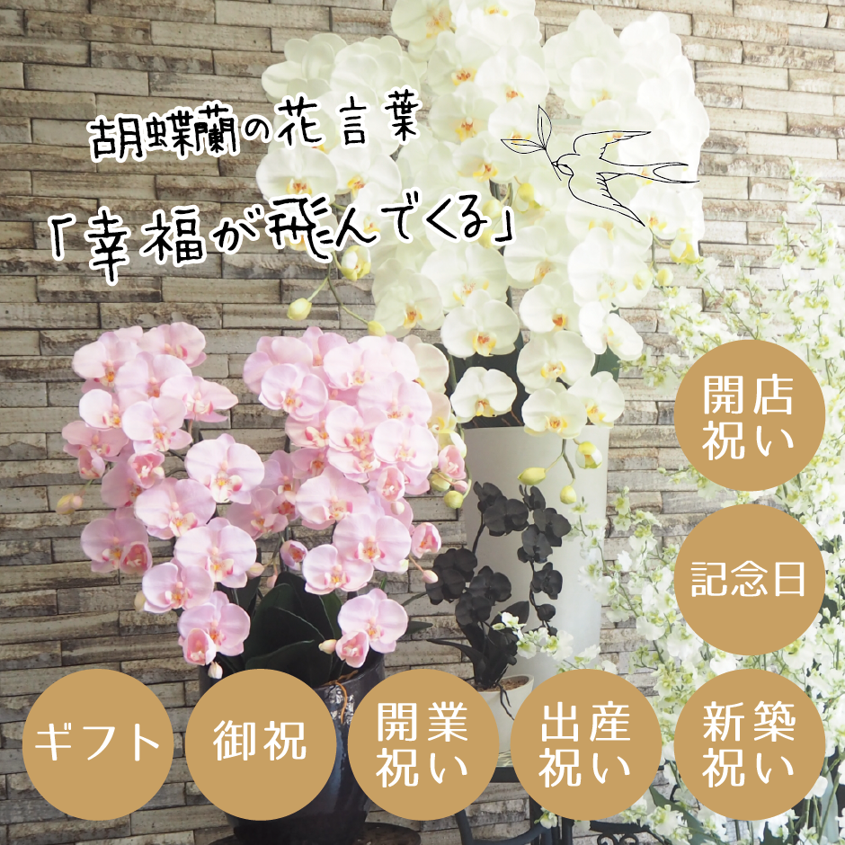 胡蝶蘭5本立_ホワイトピンク 光触媒24セラコート・ワン加工 | 花