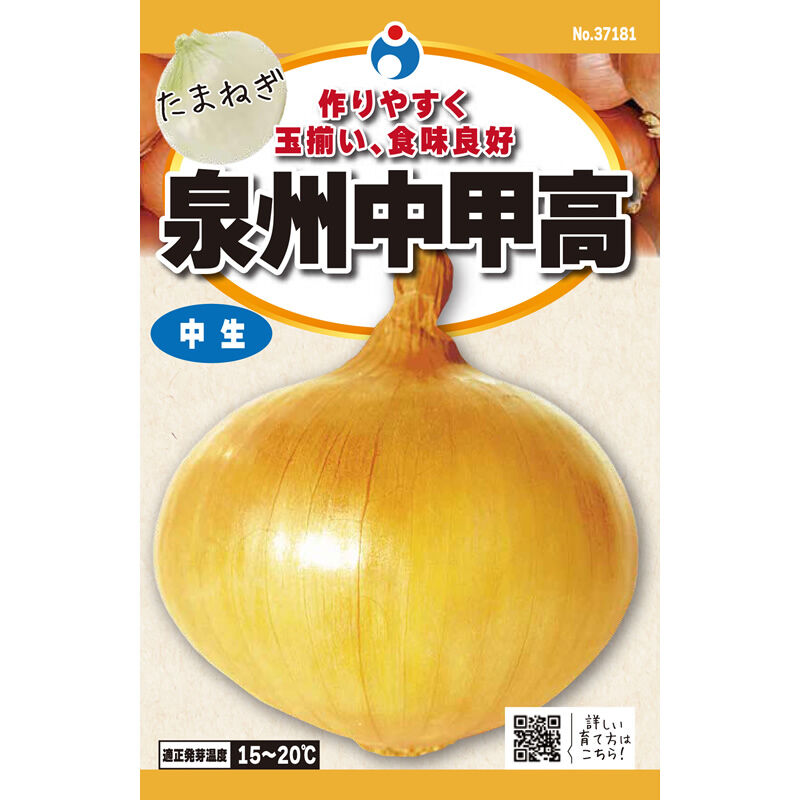 泉州中甲高玉葱（たまねぎ） / 【37181】 | 花さんぽ｜種子をはじめ