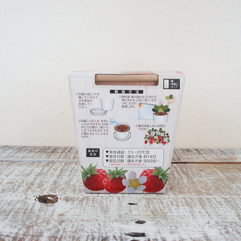  ワイルドストロベリーセット 70726f647563742f6974656d2f4744