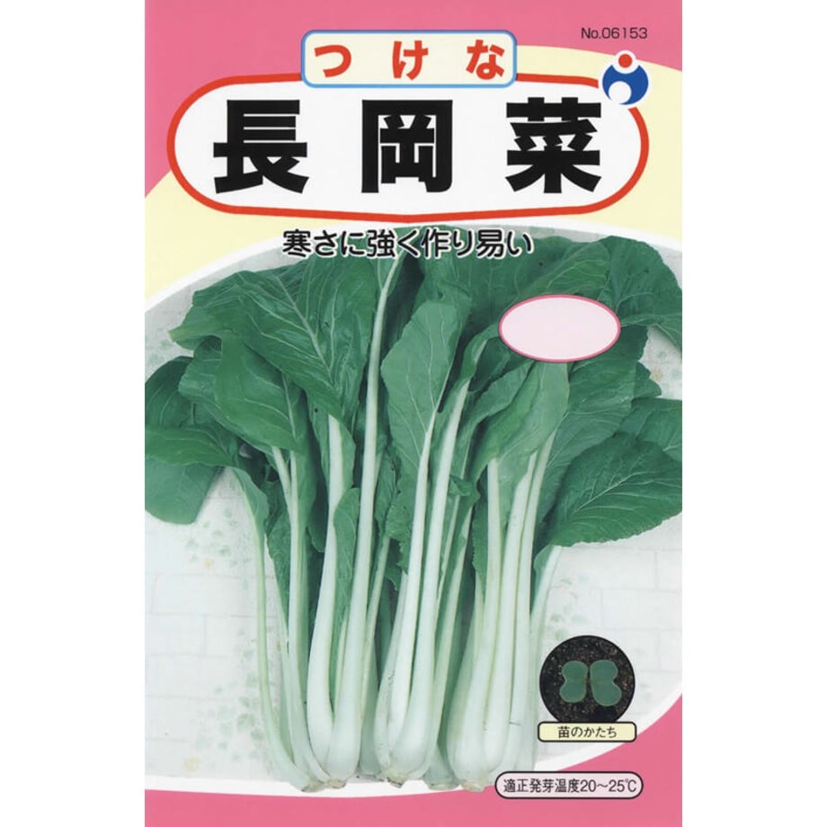 641bfc631bcd74002b44315b