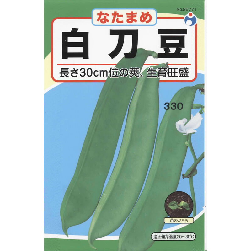 白刀豆 / 【26771】 | 花さんぽ｜種子をはじめ園芸用品を取り扱う