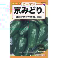 にんじんちゃん専用 新黒田五寸人参（ごすんにんじん） / 【14521】 | 花さんぽ
