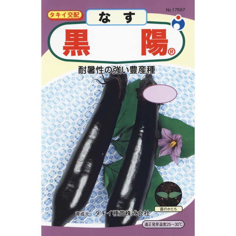 黒陽茄子（なす） / 【17597】 | 花さんぽ｜種子をはじめ園芸用品を