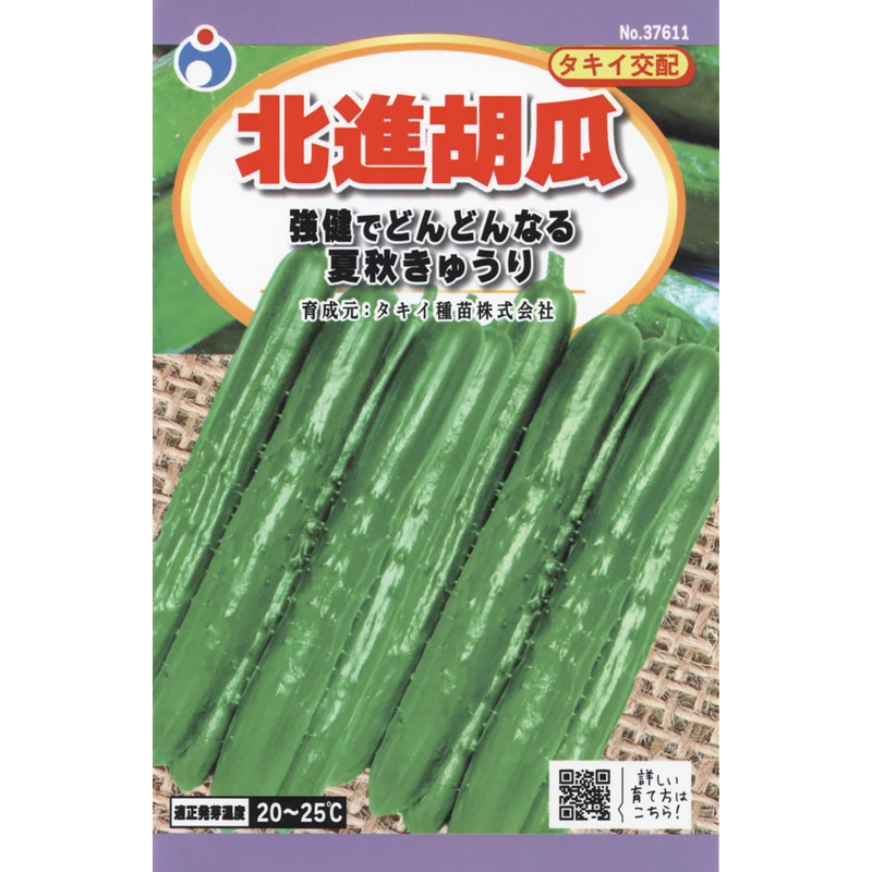 北進胡瓜（きゅうり） / 【37611】 | 花さんぽ｜種子をはじめ園芸用品