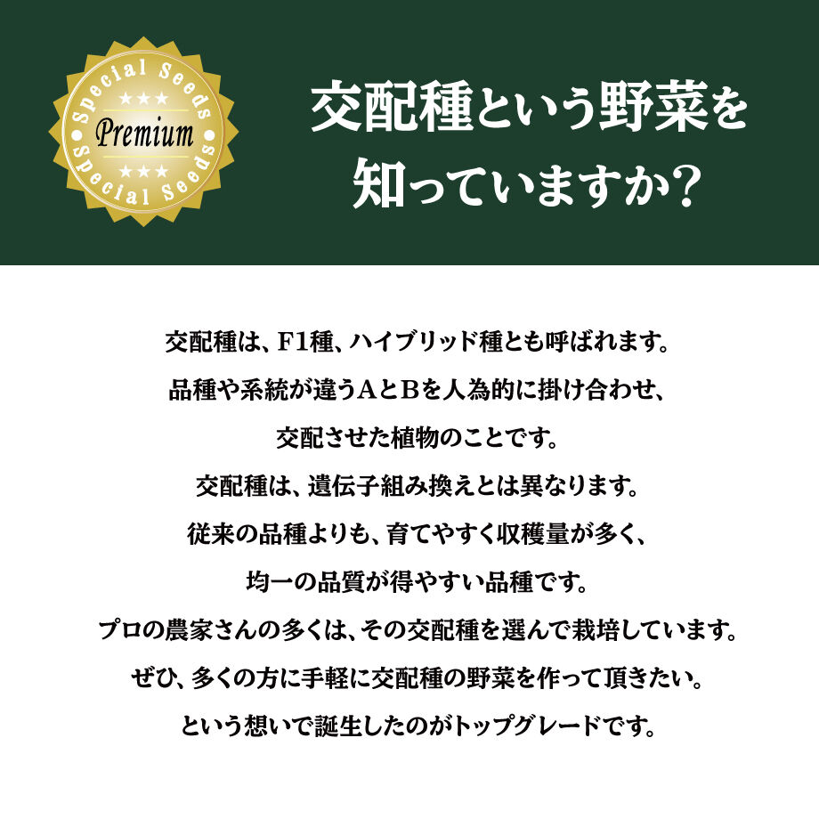 612c385ce50c0b0e10127380