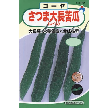 さつま大長苦瓜（にがうり・ゴーヤ）　/　【24731】