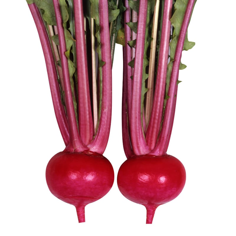 つがる紅かぶ / 【13465】 | 花さんぽ｜種子をはじめ園芸用品を