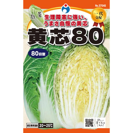 黄芯８０白菜　/　【37045】
