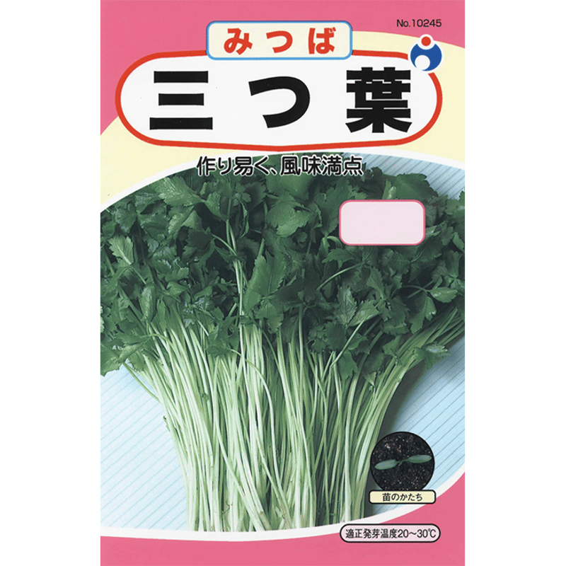 三つ葉 / 【10245】 | 花さんぽ｜種子をはじめ園芸用品を