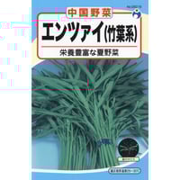 エンツァイ　/　【08216】