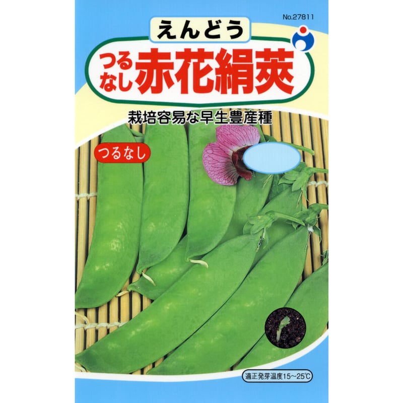 つるなし赤花きぬさやえんどう豆 / 送料込 【27811】 | 花さんぽ｜種子