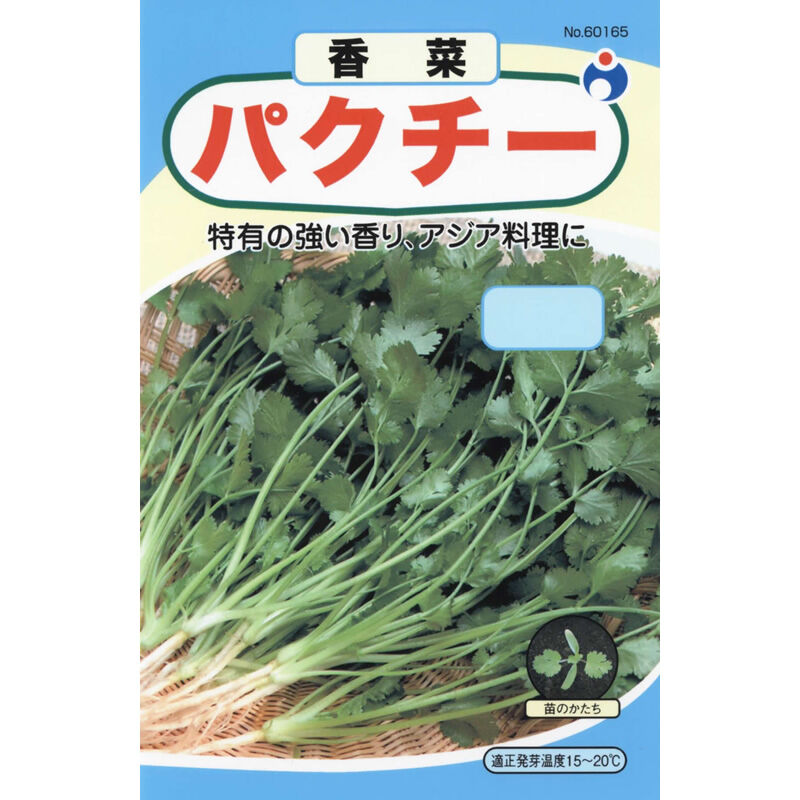 パクチー / 【60165】 | 花さんぽ｜種子をはじめ園芸用品を取り扱う