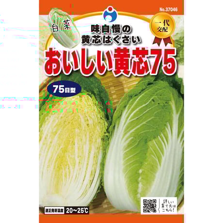 おいしい黄芯７５白菜　/　【37046】