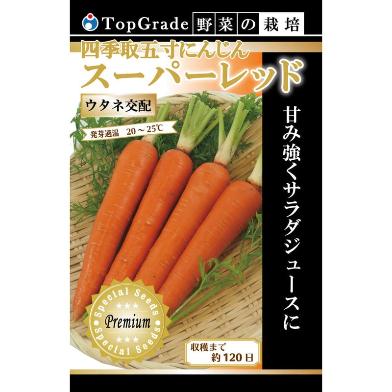 ウサシンの宝物、うんちゃん Amazon.co.jp: オートバイウィング For KA-WA-SAKI Ninja ZX14R