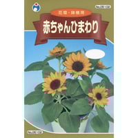 えだまめ ホクエツ 枝豆もぎとり機 まめ太郎 HM-800S（単相100V） 枝豆