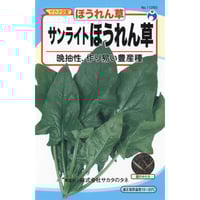 サンライト法蓮草（ほうれんそう）　/　【11260】