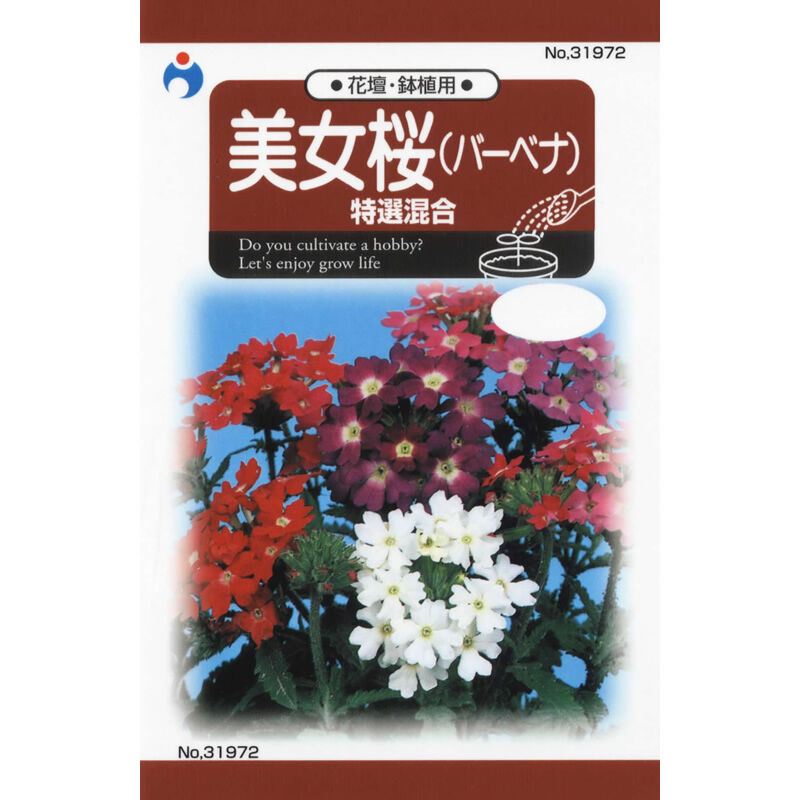 美女桜特選混合 / 【31972】 | 花さんぽ｜種子をはじめ園芸用品を