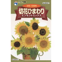 切花ひまわりビンセントミックス　/　【90031】