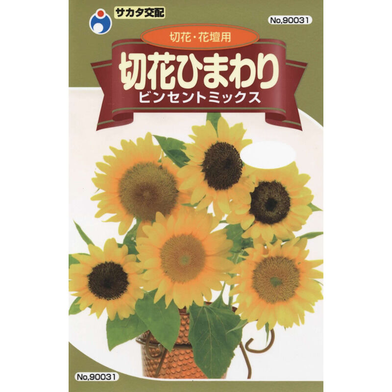 切花ひまわりビンセントミックス / 【90031】 | 花さんぽ｜種子を