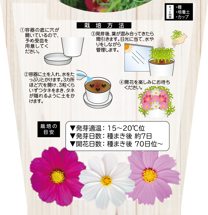花の栽培キット ミニコスモス 【87068】 | 花さんぽ｜種子をはじめ園芸