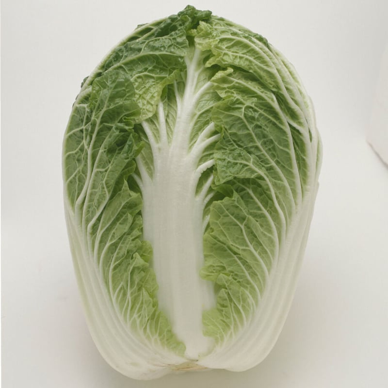 無双白菜 / 【05065】 | 花さんぽ｜種子をはじめ園芸用品を取り扱う