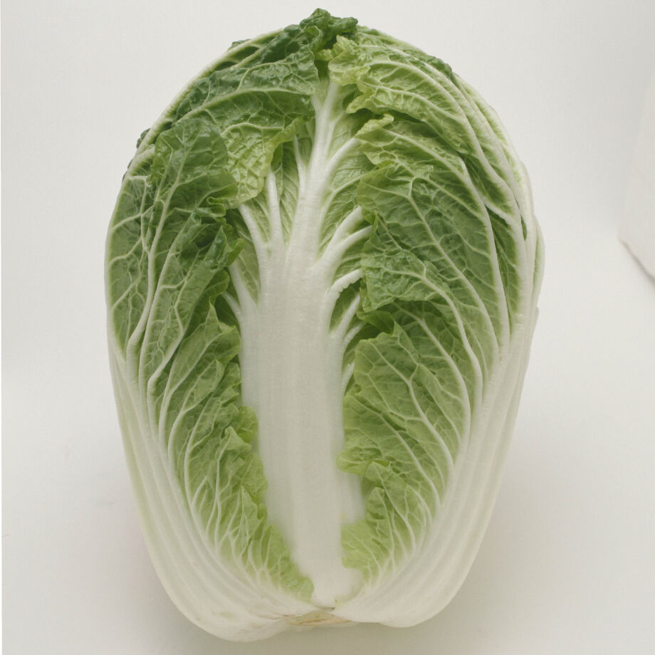 白菜 tanex-0288_01.jpg