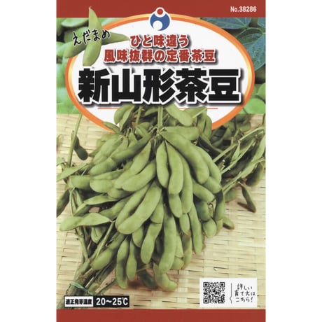 新山形茶豆　/　【38286】