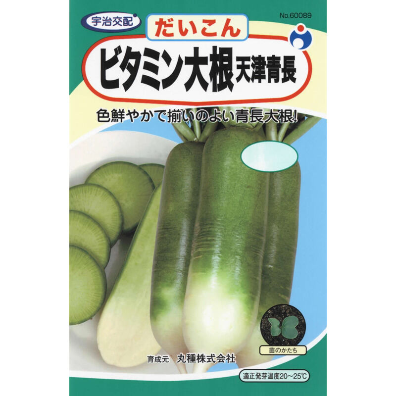 ビタミン大根 天津青長（だいこん） / 【60089】 | 花さんぽ｜種子を