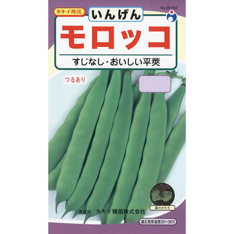 いんげん つるありモロッコ（お徳用大袋）　/　【26792】