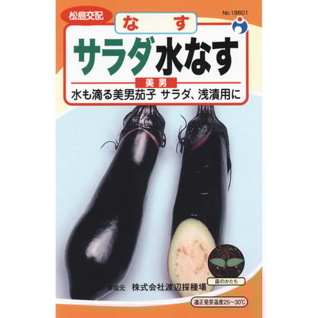 サラダ水茄子（なす）　/　【18601】