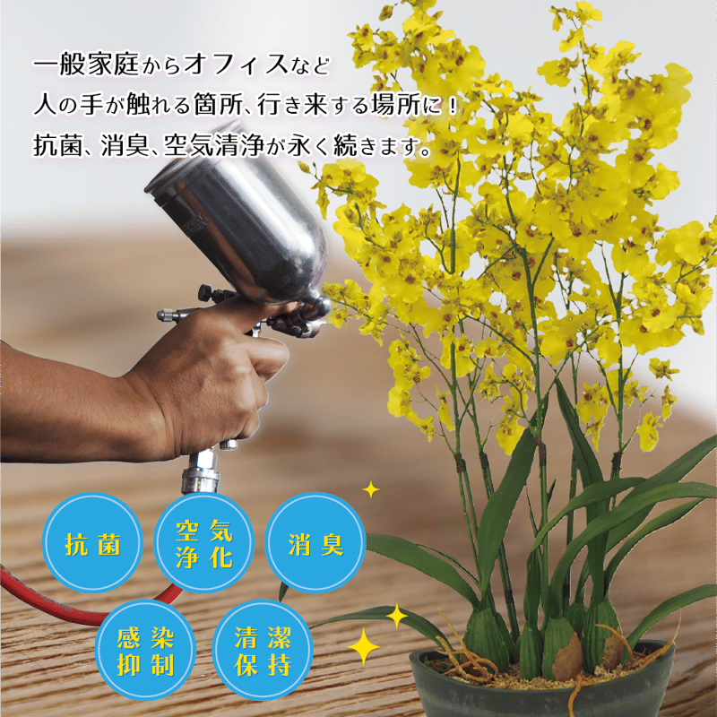 プレミアムオンシジューム9本立_グリーン 光触媒24セラコート・ワン