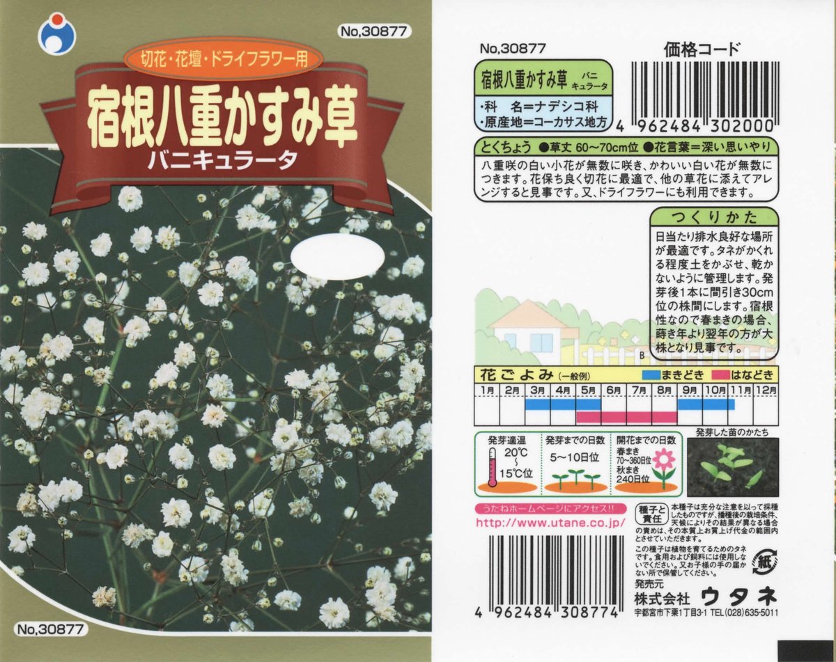 ゴーヤのリース【ゴーヤ】ドライフラワー ゴーヤのリース【ゴーヤ】ドライフラワー