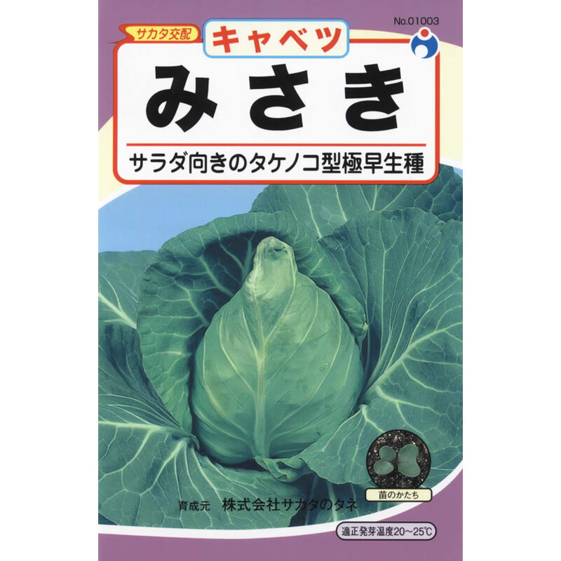 キャベツ様 みさき甘藍（キャベツ） / 【01003】 | 花さんぽ｜種子をはじめ園芸