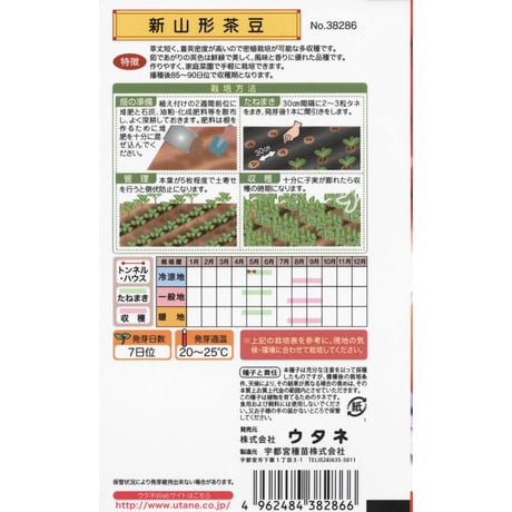 新山形茶豆　/　【38286】