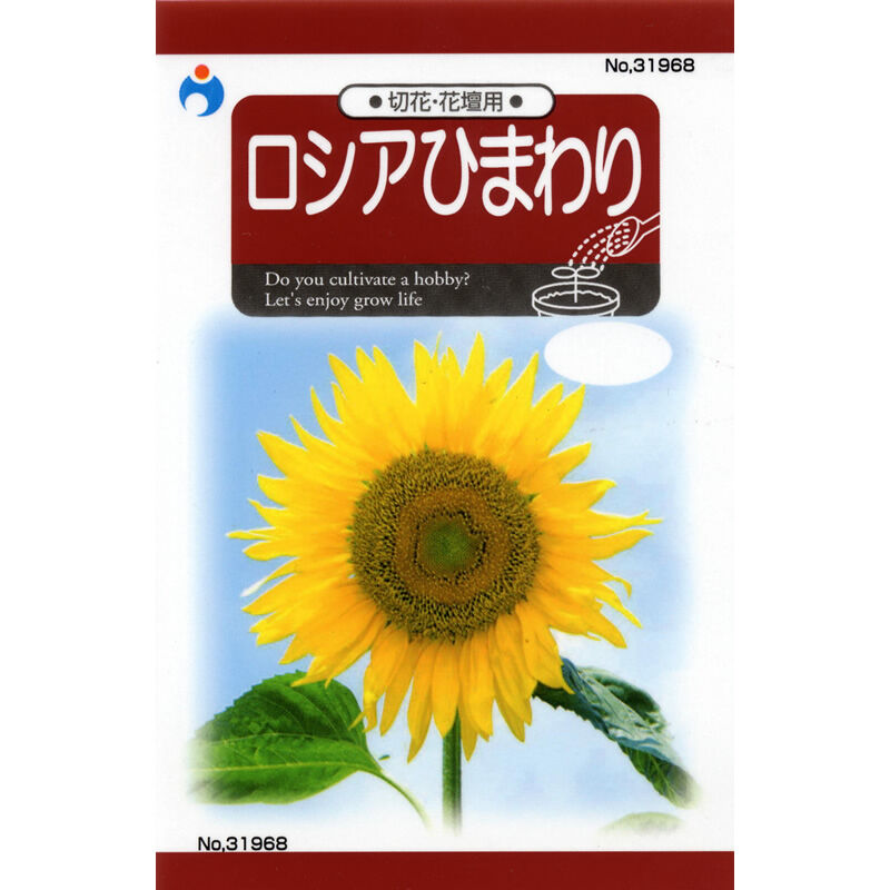 ロシアひまわり / 【31968】 | 花さんぽ｜種子をはじめ園芸用品を