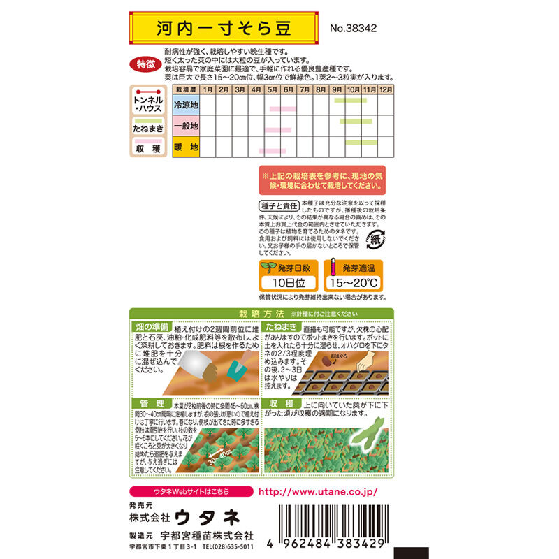 河内一寸そら豆 / 【38342】 | 花さんぽ|種子をはじめ園芸用品 河内一寸そら豆 / 【38342】 | 花さんぽ|種子をはじめ園芸用品