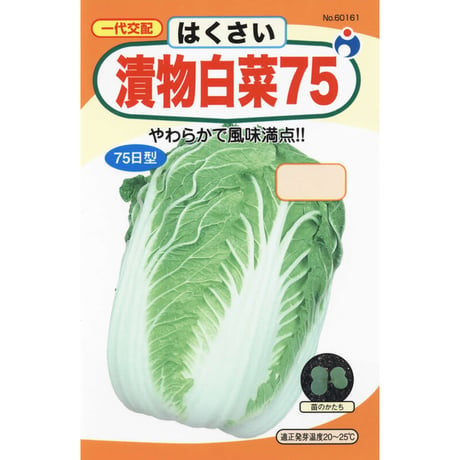 漬物白菜７５　/　【60161】