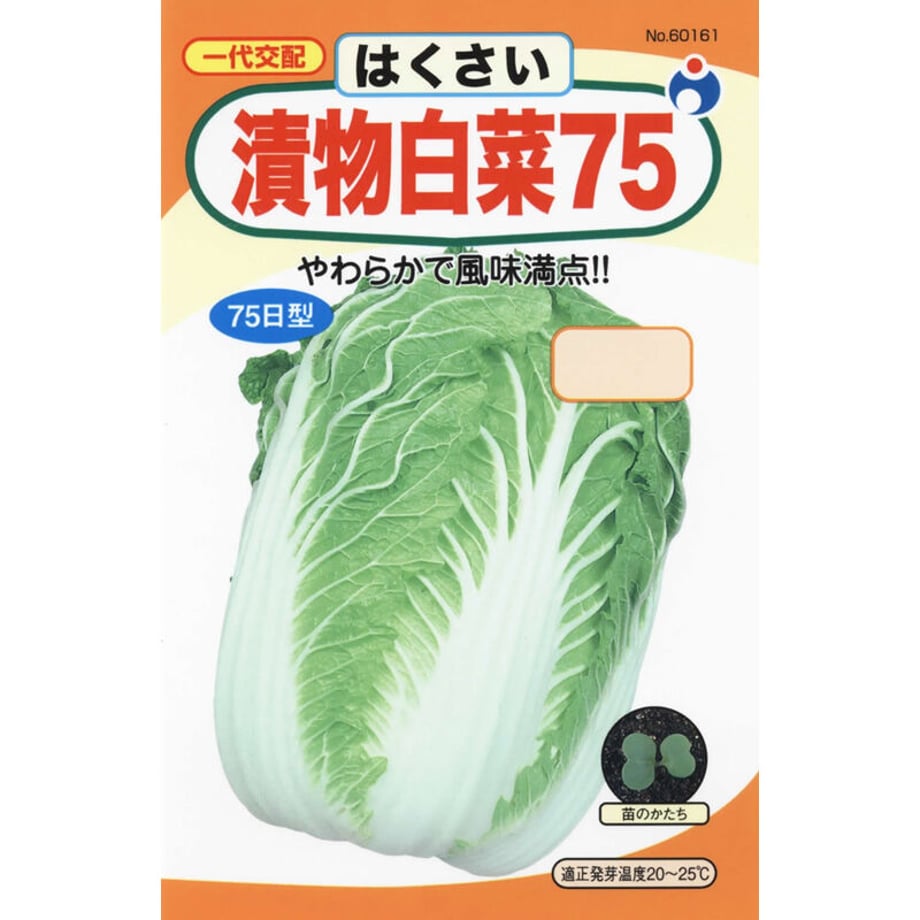 64b0f534a30c090032a8ff96