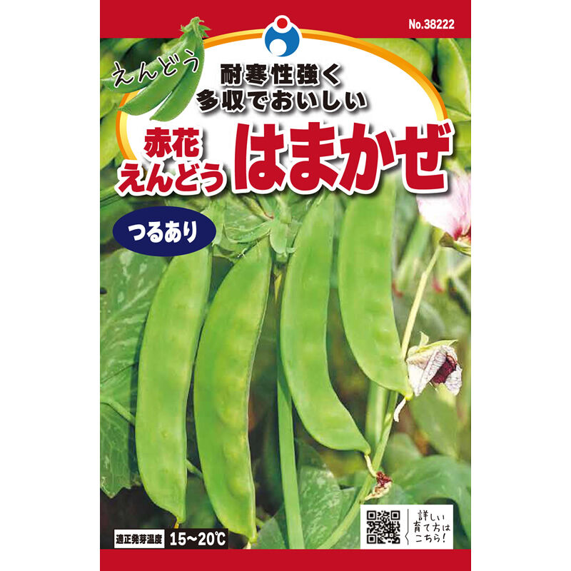 つる有赤花はまかぜえんどう / 【38222】 | 花さんぽ｜種子をはじめ