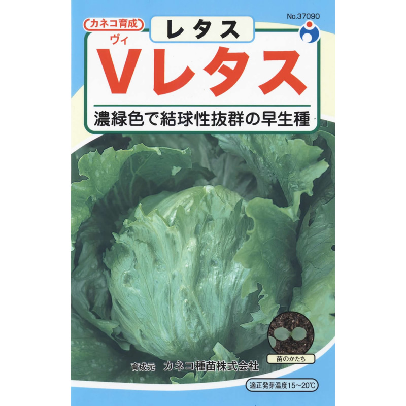 Vレタス / 【37090】 | 花さんぽ｜種子をはじめ園芸用品を取り扱う