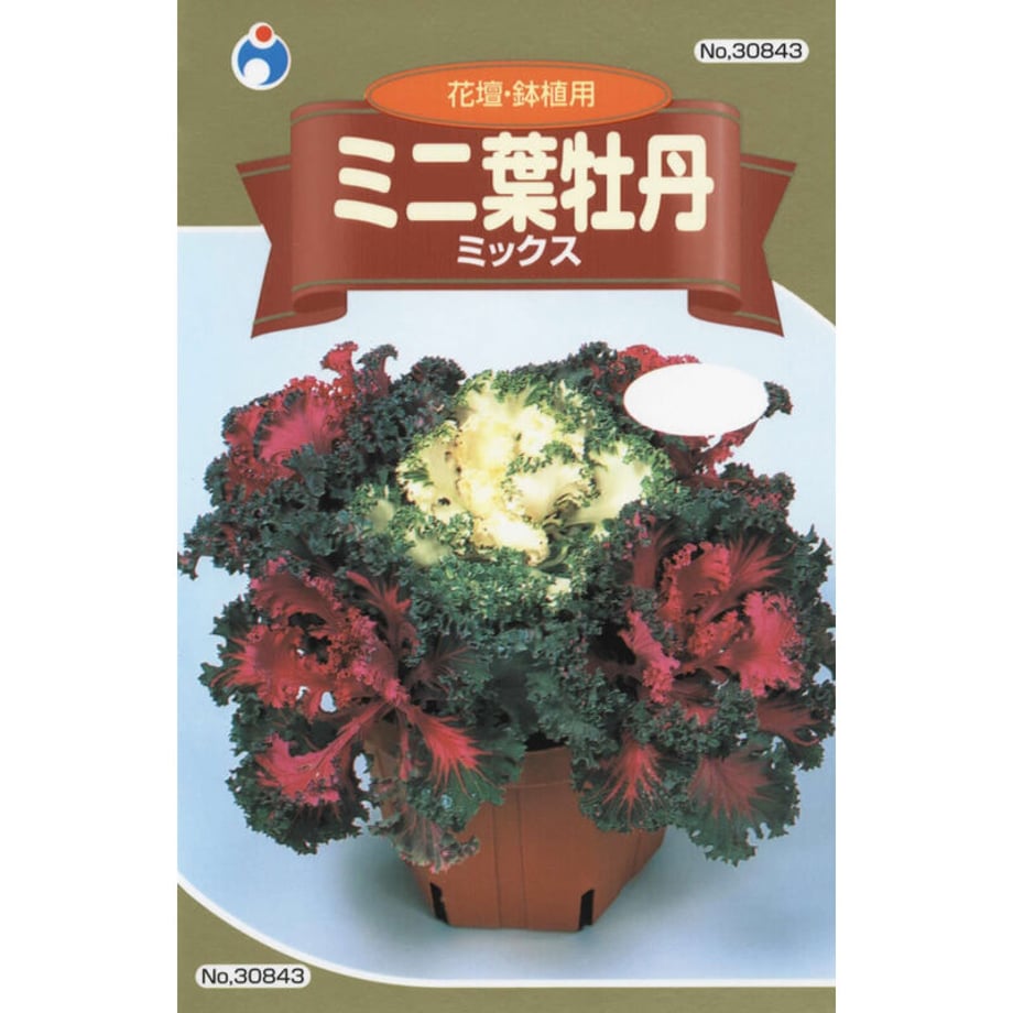 64b76fa755979800305cb7a4
