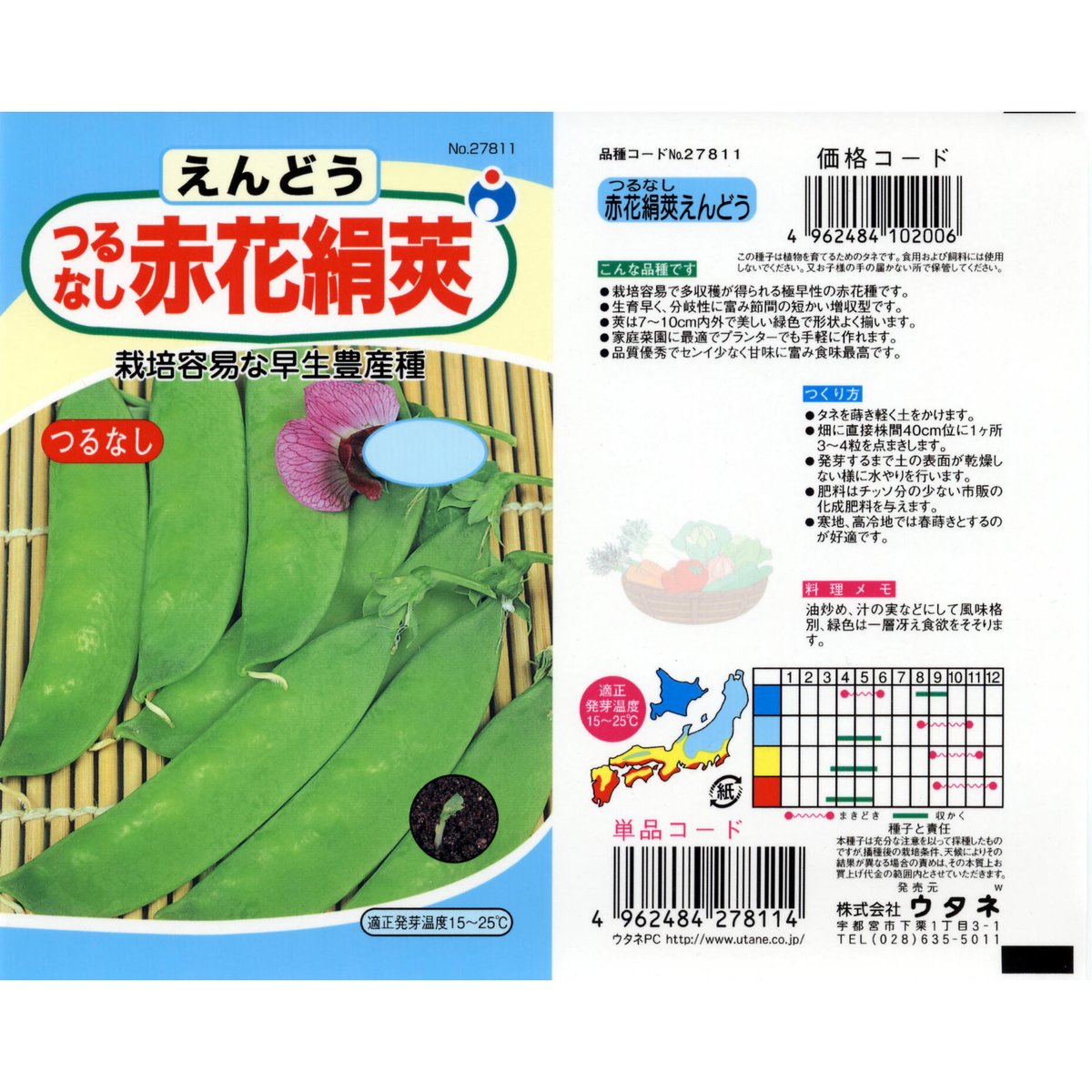 つるなし赤花きぬさやえんどう豆 　/ 　送料込　【27811】