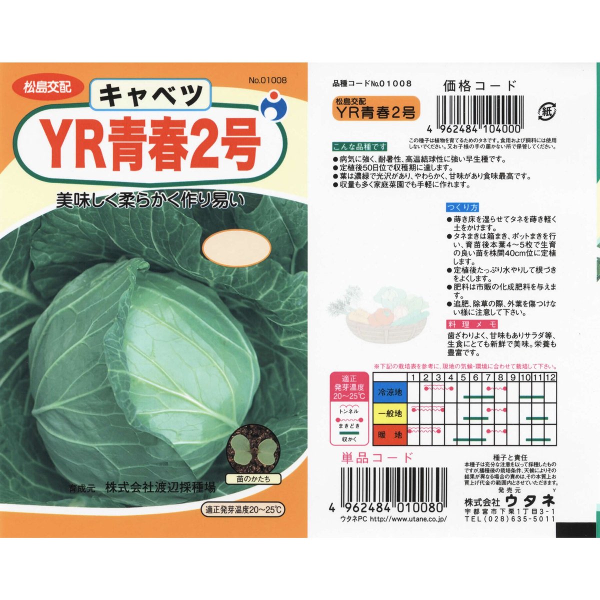 松島交配YR青春2号キャベツ / 【01008】 | 花さんぽ｜種子をはじめ園芸