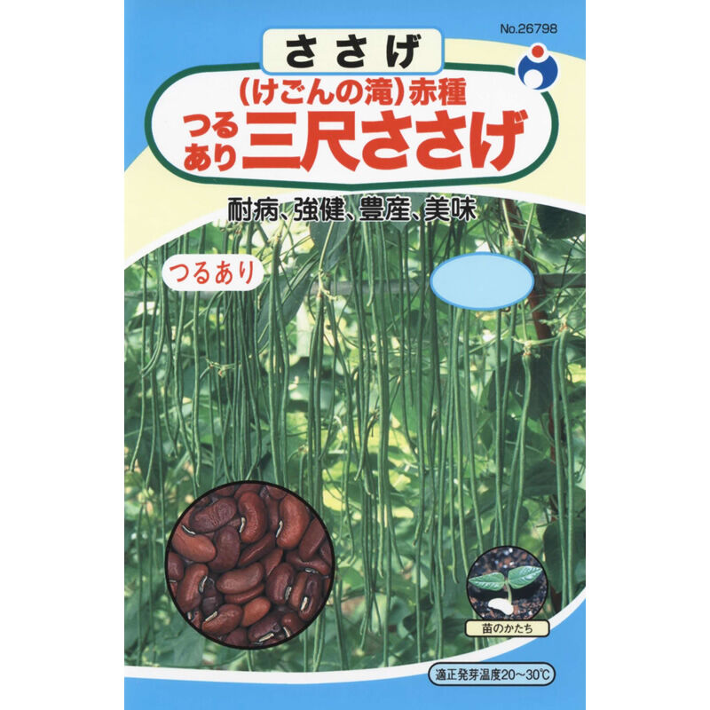 みみ様専用 ☆ みみみさま専用 フィンガーライム苗木セット ☆ 苗木様専用
