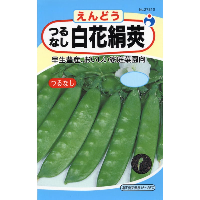 つるなし白花きぬさやえんどう豆 / 送料込 【27812】 | 花さんぽ｜種子