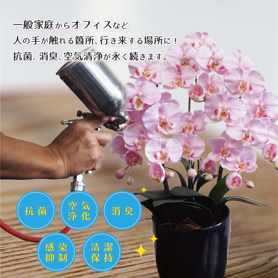 胡蝶蘭5本立_ホワイトピンク 光触媒24セラコート・ワン加工 | 花
