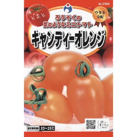 キャンディーオレンジトマト　/　【37504】